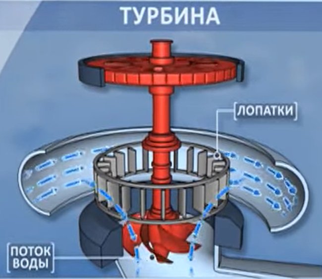 На фото: Принципиальная схема турбины гидрогенератора. Предоставлено: из открытых источников INet