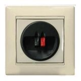 Розетка для колонок аудіо 1-я Valena (слонова кістка)