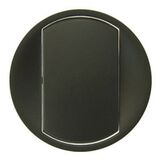 67901 Клавиша для одинарного выключателя серия Celiane цвет-графит Legrand