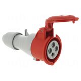 Розетка мобільна 16A 3К+З 415В IP44 P 17 Tempra Pro Legrand