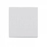 N2200 BL Заглушка 2-мод белый Zenit