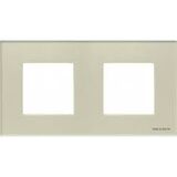 N2272 CP Рамка 2 поста жемчужное стекло Zenit