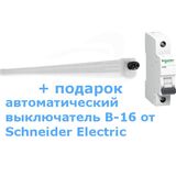 WT060C LED36S/840 PSU L1200 BN IP66, IK08 30 W L1200 mm 3600 lm Водонепроницаемый PHILIPS в подарок Автоматический выключатель B-16 Schneider Electric