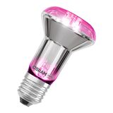 ФІТО-ЛАМПА для росту рослин РLED R63 GROW LAMP 7,5W 230V 1300 K 140 lm FIL E27