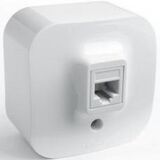 Розетка компьютерная RJ45 cat5e UTP внешний монтаж Forix (Quteo) Legrand (белый) 782424