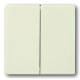 1785-82 Клавиша двойная Future/Carat/Axcent (слоновая кость) ABB