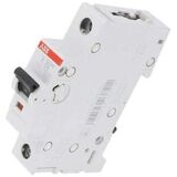 Автоматический выключатель SZ201-C50 50A 1P полюс АВВ Германия