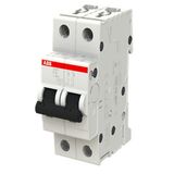 S202-C16 2P мініатюрний Автоматичний вимикач 16А C 6kA System pro M compact ABB