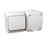 Блок розетка с заземлением 16А + проходной выключатель 1-кл. IP44 (сх.6) серия  Cedar Plus Белый Schneider