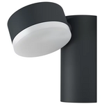 ENDURA STYLE SPOT RD 8W DG Уличный светильник Регулируемый поворот 320° алюминиевый Темно-серый IP44: Фасады зданий, Ступени LEDVANCE