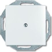 2527-94-507 Вывод кабеля Basic 55 (белый) ABB