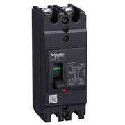 EasyPact 30kA 230V 2P/2T 80А Автоматический выключатель в литом корпусе Schneider EZC100H2080