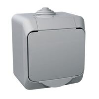 Вимикач 1-кл зовнішнього монтажу IP44 (сх.1) серія Cedar Plus Сірий Schneider : інтернет-магазин Elmar Україна