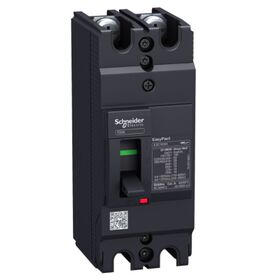 EasyPact 30kA 230V 2Р/2T 100А Автоматический выключатель в литом корпусе Schneider EZC100H2100