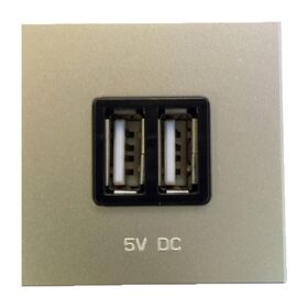 N2285 CV Розетка USB-зарядка 2-мод шампань Zenit