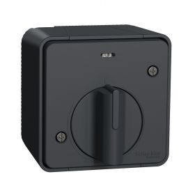 Выключатель с таймером IP55, для поверхностного монтажа, черный, Mureva Styl Schneider Electric : інтернет-магазин Elmar Україна