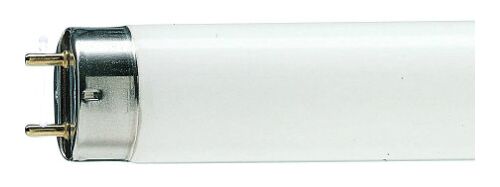 Люминесцентная лампа PHILIPS MASTER TL-D Super 80 18W/840 T8 G13 600 mm